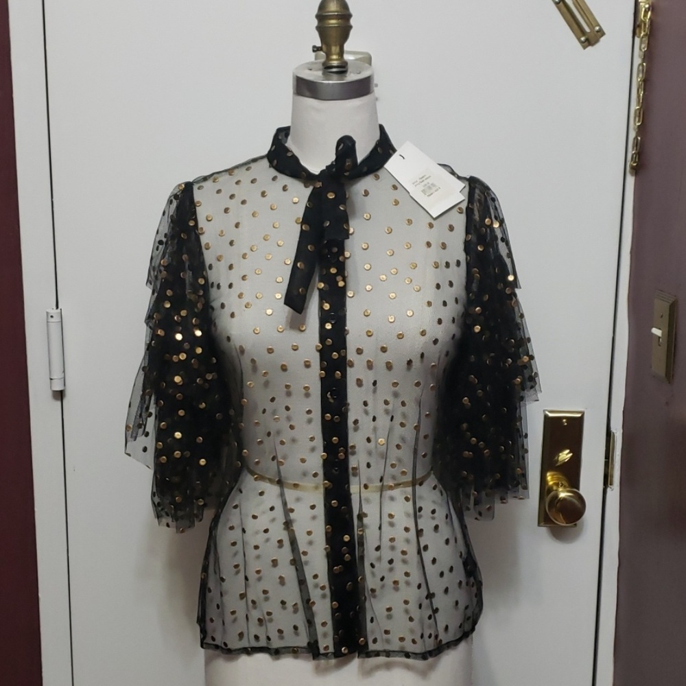 Black sheer blouse